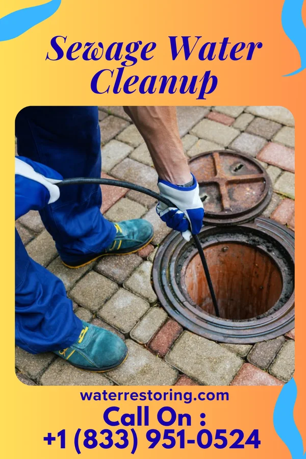 Sewage Water Cleanup in Mountain Park, GA